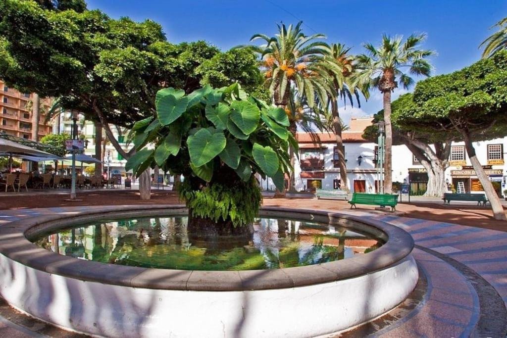 Centrico, Comodo Y Bello Apto En Puerto De La Cruz Eksteriør billede